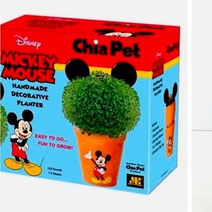 Mickey Mouse chia pet
